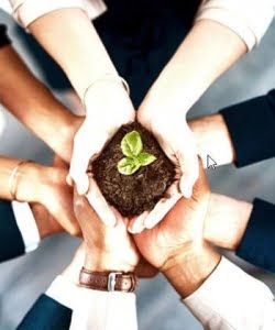 ECOSYS Sustainable ECOSYS Sustainable